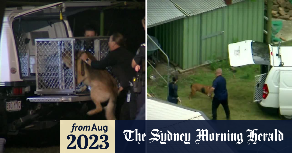 Video Fears over dog breed ban proposal